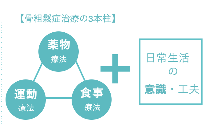 骨粗鬆症治療の3本柱